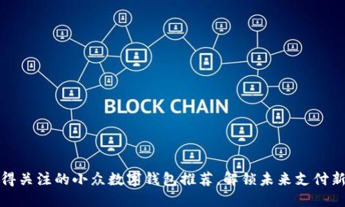 最值得关注的小众数字钱包推荐，解锁未来支付新方式