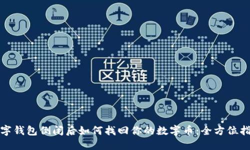 数字钱包倒闭后如何找回你的数字币:全方位指南