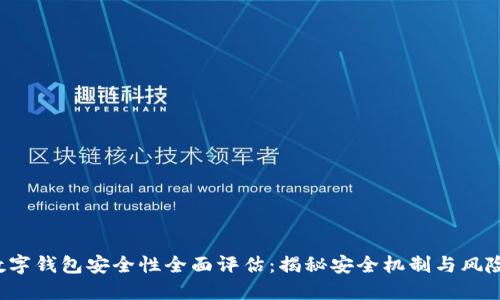ICP数字钱包安全性全面评估：揭秘安全机制与风险管理