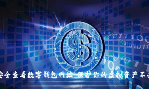 如何安全查看数字钱包网址：保护你的虚拟资产不受侵害