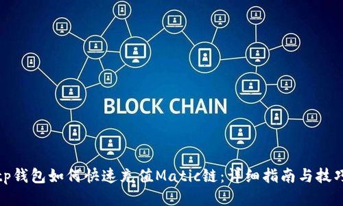 tp钱包如何快速充值Matic链：详细指南与技巧