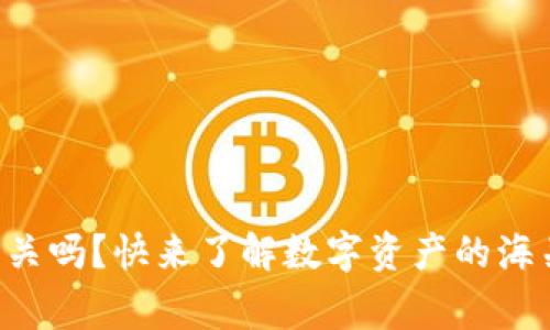 区块链钱包能过海关吗？快来了解数字资产的海关政策和注意事项！