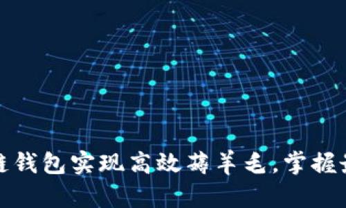 如何通过区块链钱包实现高效薅羊毛，掌握最新技巧与策略
