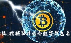 颠覆传统：挖掘独特的冷数字钱包名称灵感