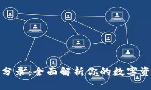 数字货币钱包分录:全面解析你的数字资产管理新利器