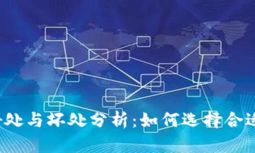 放TP钱包的好处与坏处分析:如何选择合适的数字钱包?