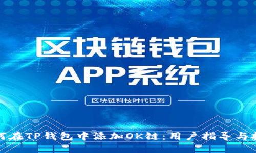 如何在TP钱包中添加OK链:用户指导与技巧