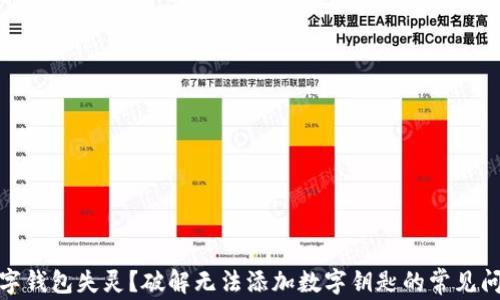 数字钱包失灵?破解无法添加数字钥匙的常见问题
