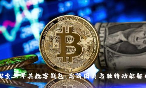 探索土耳其数字钱包:高清图片与独特功能解析