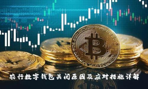 农行数字钱包关闭原因及应对措施详解