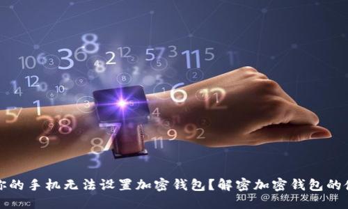 为什么你的手机无法设置加密钱包?解密加密钱包的使用障碍