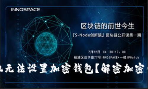为什么你的手机无法设置加密钱包?解密加密钱包的使用障碍