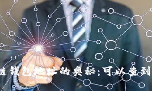 揭秘区块链钱包地址的奥秘:可以查到哪些信息?