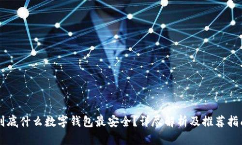 到底什么数字钱包最安全？详尽解析及推荐指南