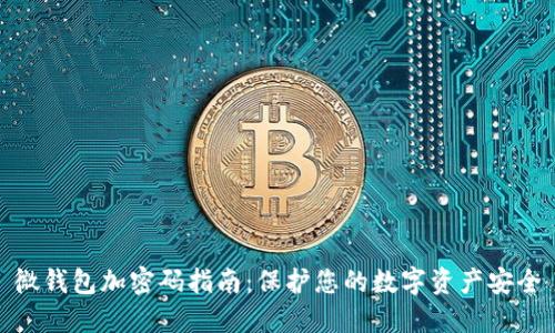 微钱包加密码指南:保护您的数字资产安全