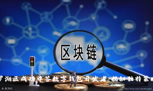 如何在罗湖区成功中签数字钱包开发者：揭秘独特策略与技巧