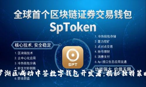 如何在罗湖区成功中签数字钱包开发者：揭秘独特策略与技巧