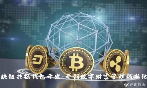 区块链共振钱包开发：开创数字财富管理的新纪元
