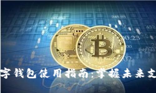 央行国际数字钱包使用指南：掌握未来支付的新方式