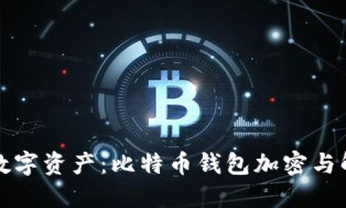 完美保护你的数字资产：比特币钱包加密与解密的全面指南