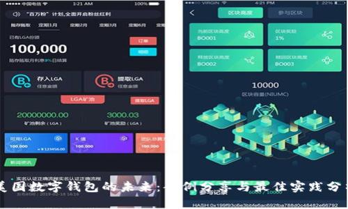 美国数字钱包的未来：案例分享与最佳实践分析