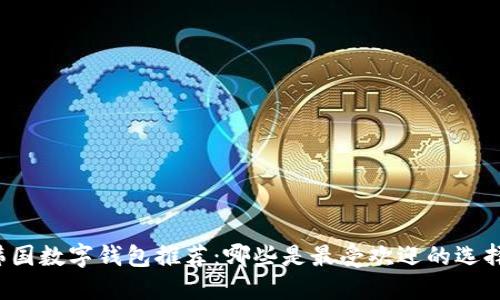 韩国数字钱包推荐：哪些是最受欢迎的选择？