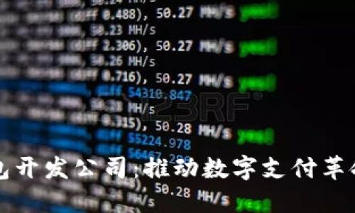深圳数字钱包开发公司：推动数字支付革命的创新力量
