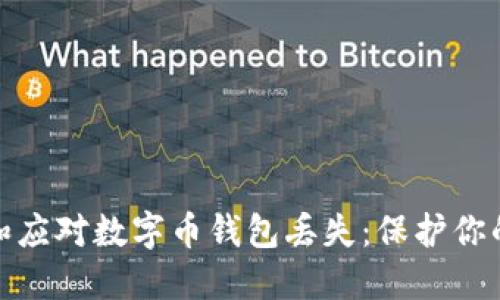 如何预防和应对数字币钱包丢失：保护你的资产安全