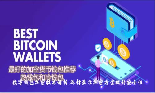 数字钱包加密技术解析:选择最佳加密方案提升安全性