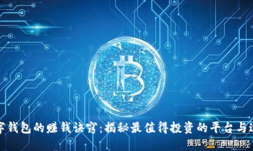 数字钱包的赚钱诀窍：揭秘最值得投资的平台与途径