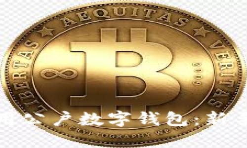 如何高效使用公户数字钱包：新手指南与技巧