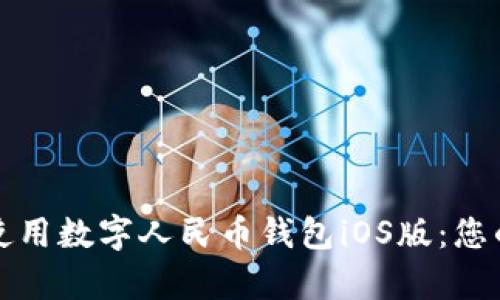 如何有效使用数字人民币钱包iOS版：您的全面指南