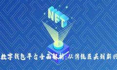 中国数字钱包平台全面解析：从传统巨