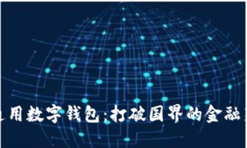 全球通用数字钱包：打破国界的金融新体验