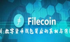 深入解析：数字货币钱包背后的真相与