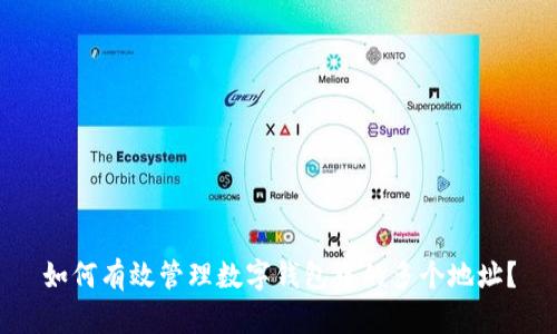 如何有效管理数字钱包中的多个地址？