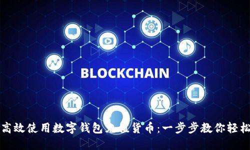 如何高效使用数字钱包充值货币:一步步教你轻松操作