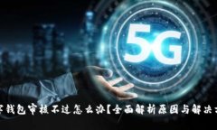 数字钱包审核不过怎么办？全面解析原