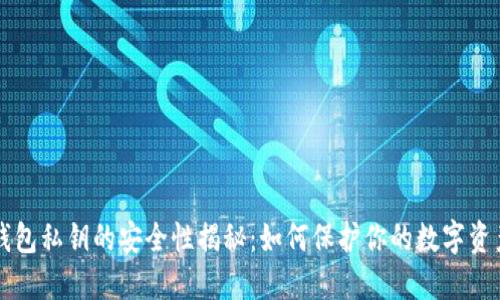 区块链钱包私钥的安全性揭秘:如何保护你的数字资产不被盗