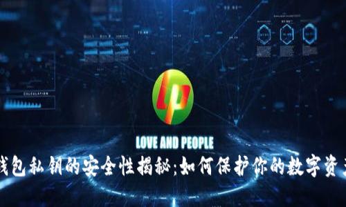 区块链钱包私钥的安全性揭秘:如何保护你的数字资产不被盗