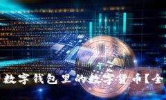 如何高效利用公司数字钱包里的数字货