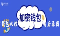数字钱包风控的重要性及其背后原因分