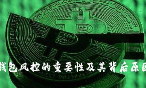 数字钱包风控的重要性及其背后原因分析