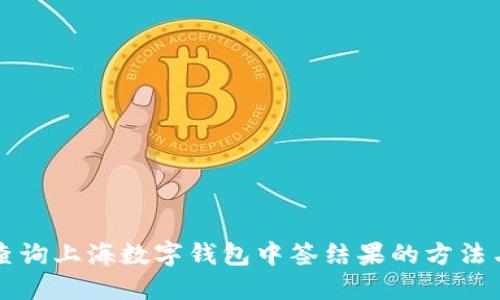 快速查询上海数字钱包中签结果的方法与技巧
