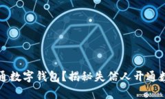 失信人能否开通数字钱包？揭秘失信人