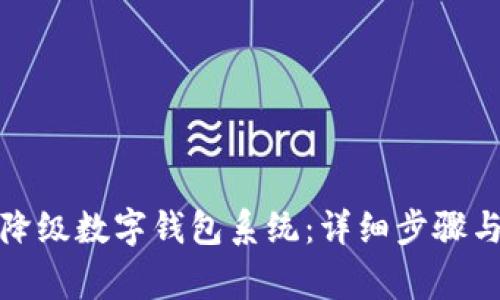 如何安全降级数字钱包系统:详细步骤与注意事项