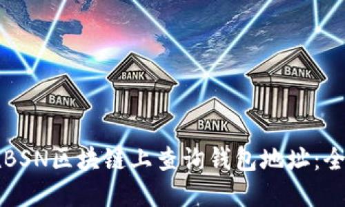 如何在BSN区块链上查询钱包地址：全面指南
