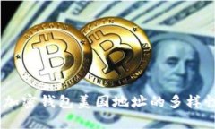 全面解析：加密钱包美国地址的多样性