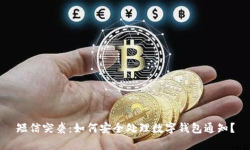 短信突袭：如何安全处理数字钱包通知？