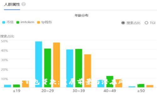 数字钱包贷款:发展前景与潜在风险分析